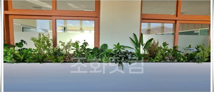 횡성 대동여자중학교 — 창가 플랜트박스를 인조식물로 채운 모습