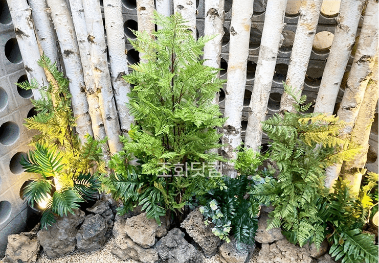 서울 에이스크랩 강남점 — 격자벽 앞에 그린 식물을 더한 자리