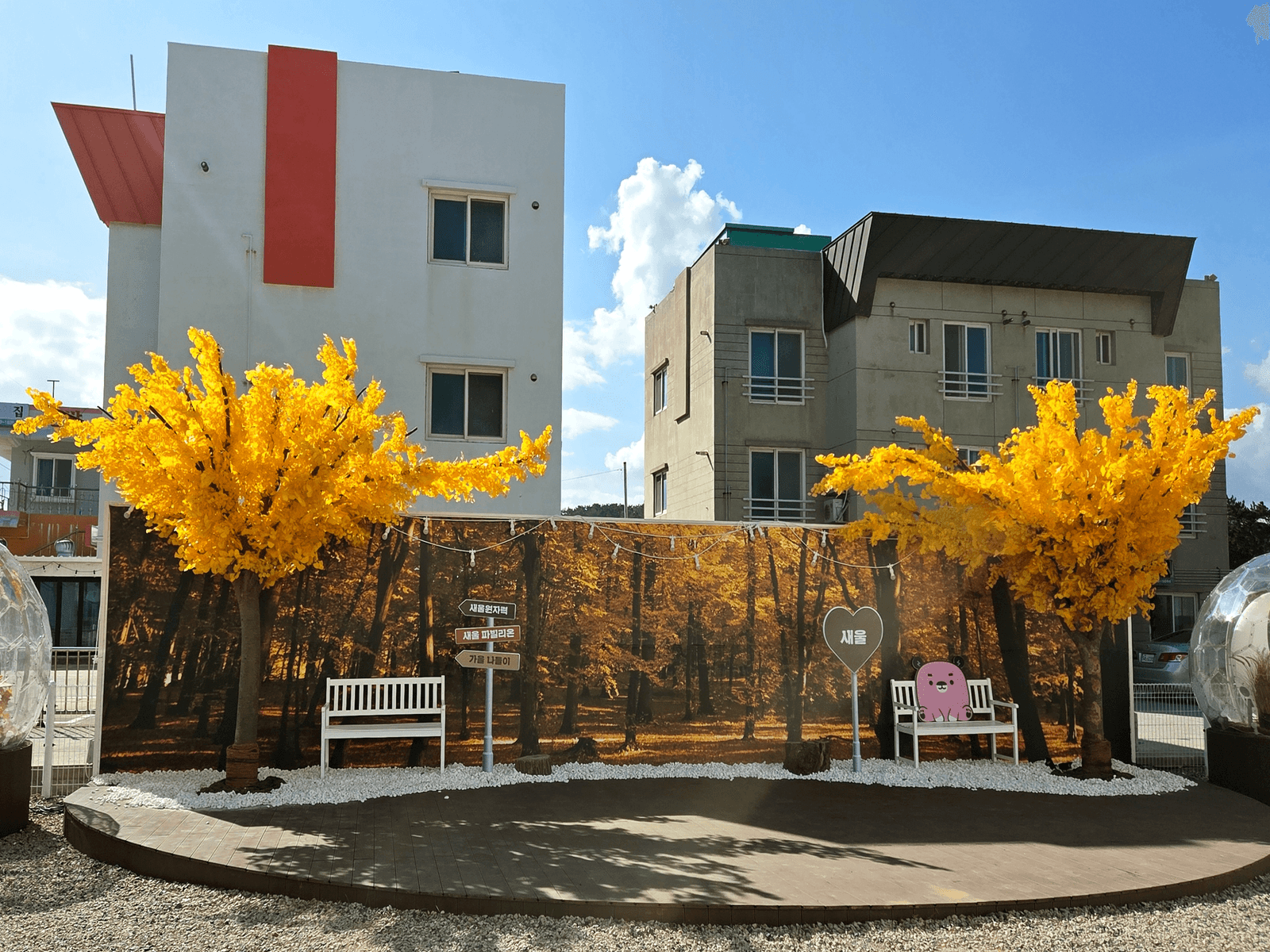 울산 울주 새울파빌리온 단풍 포토존 전경, 작은 전시관 마당에 적용할 수 있는 규모의 연출
