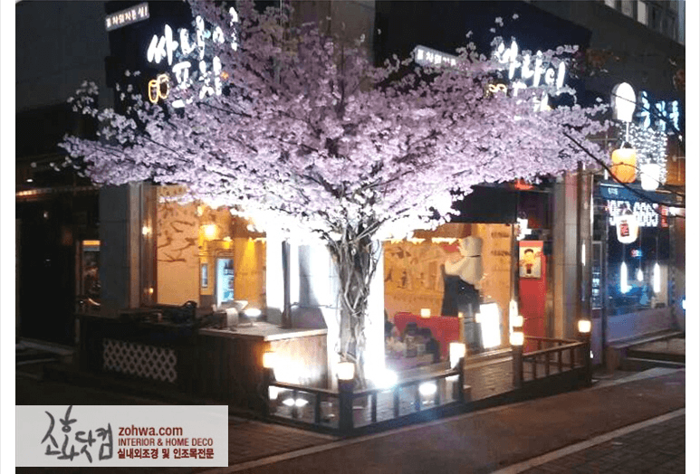 파주 싸나이포차 — 밤에 조명 받은 벚꽃나무