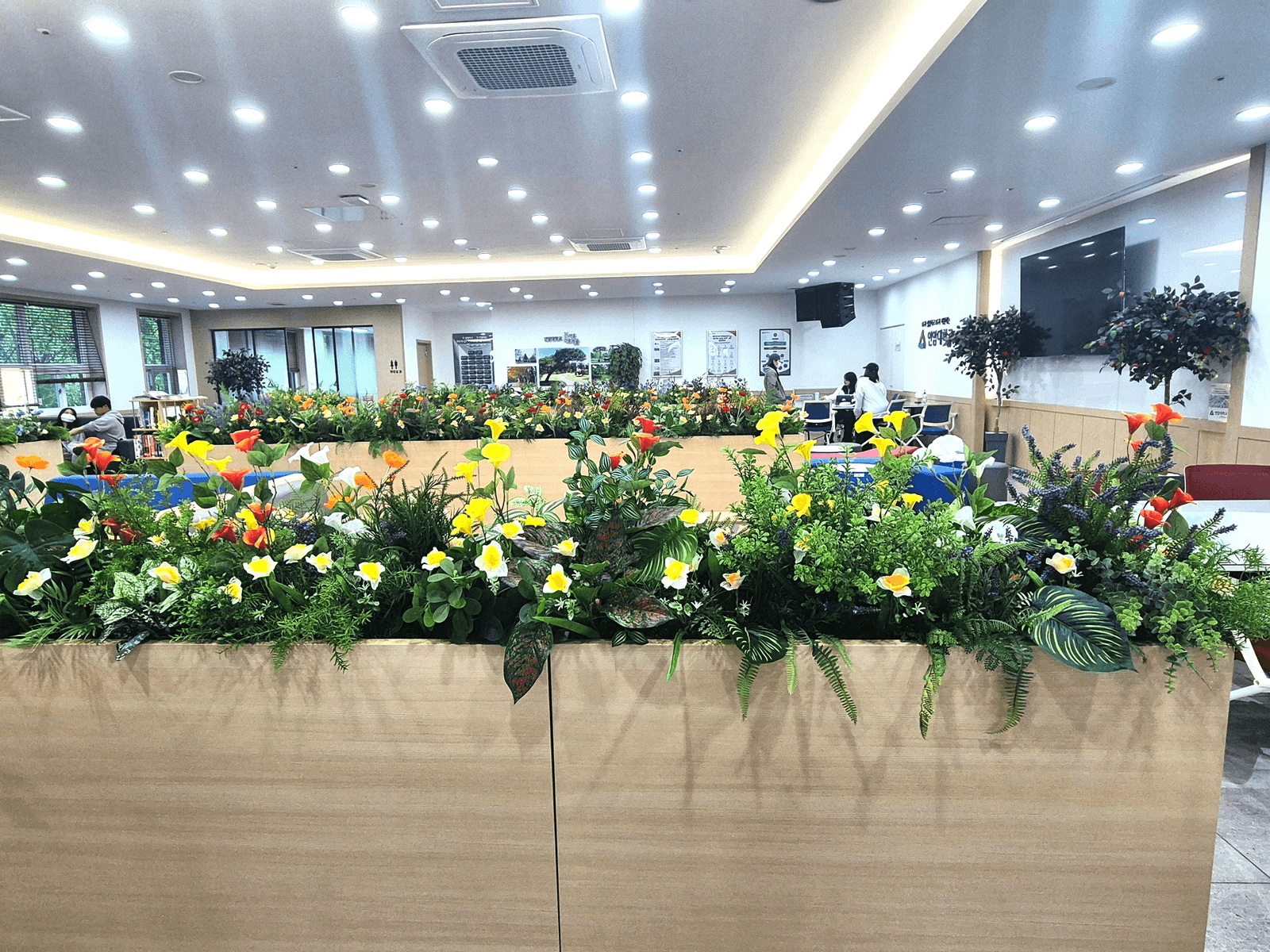충남 천안 연암대학교 — 현재 구성인 노랑·주황 원색 꽃 믹스