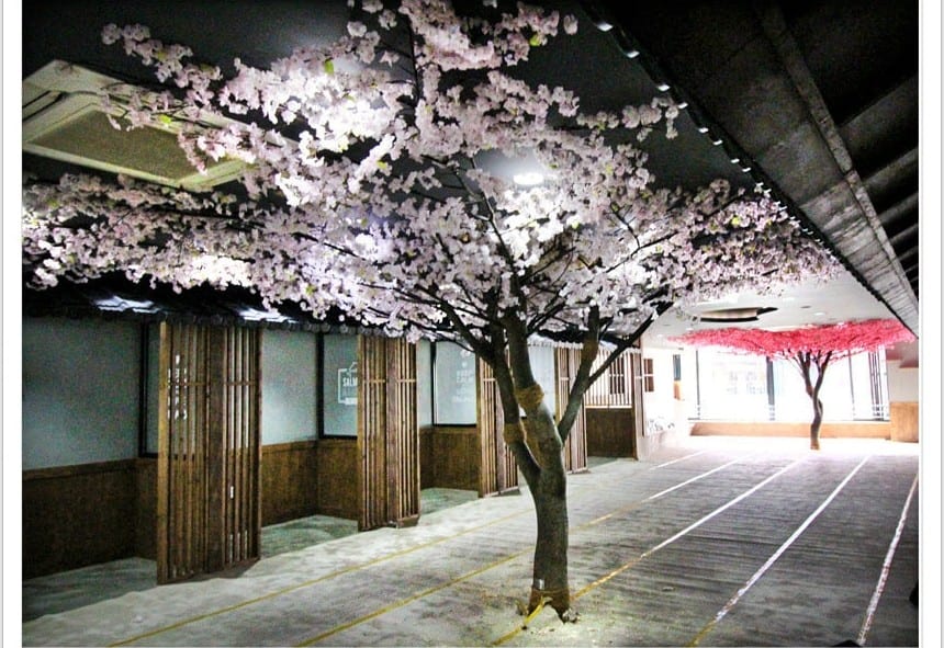 전주 셔먼마켓 — 꽃나무로 완성한 매장 분위기