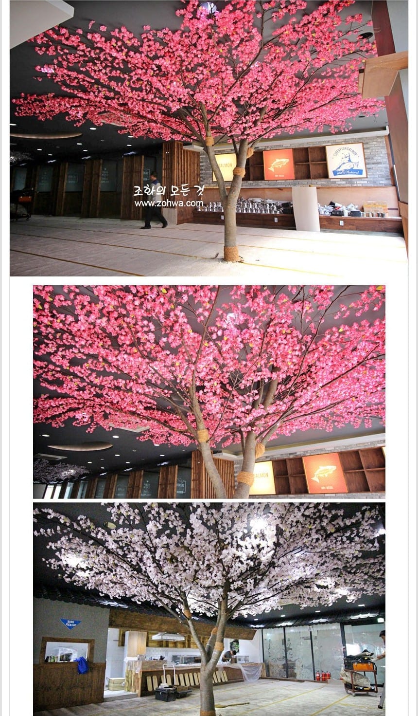전주 셔먼마켓 — 매장 양쪽에 세운 두 그루의 꽃나무