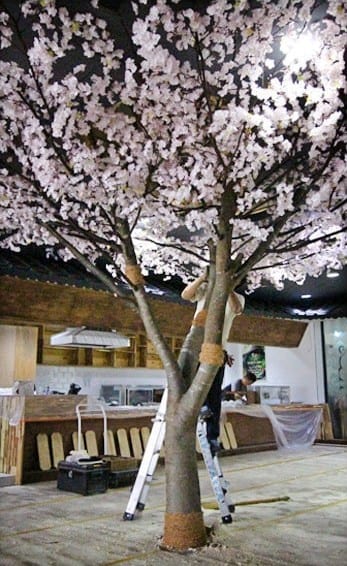 전주 셔먼마켓 — 대형 나무의 기둥과 가지 구조
