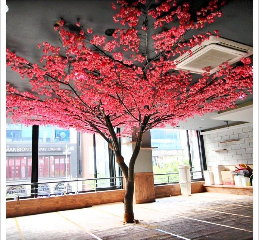 전주 셔먼마켓 — 창가에 세운 진분홍 매화나무
