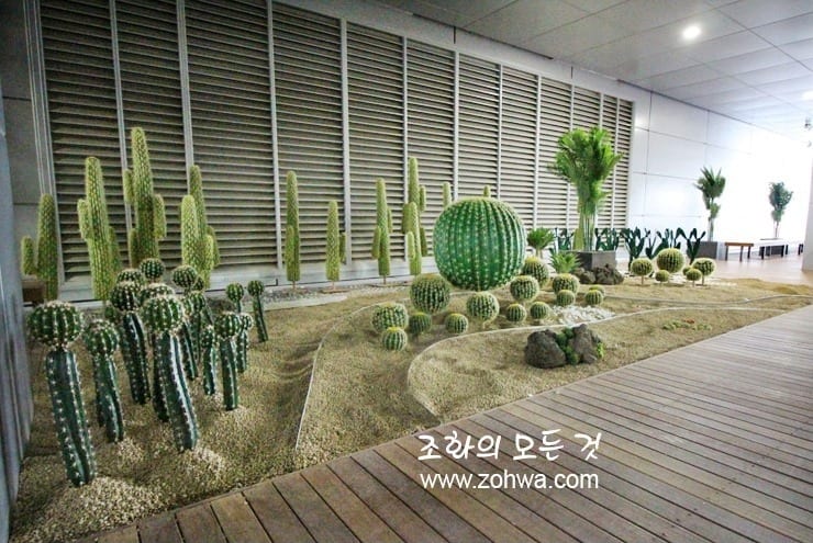 이천 SK하이닉스 수펙스센터 5층 — 창을 따라 길게 이어진 인조 선인장정원