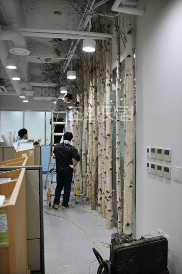 서울대학교 대학원생실 — 자작나무 파티션 설치 과정