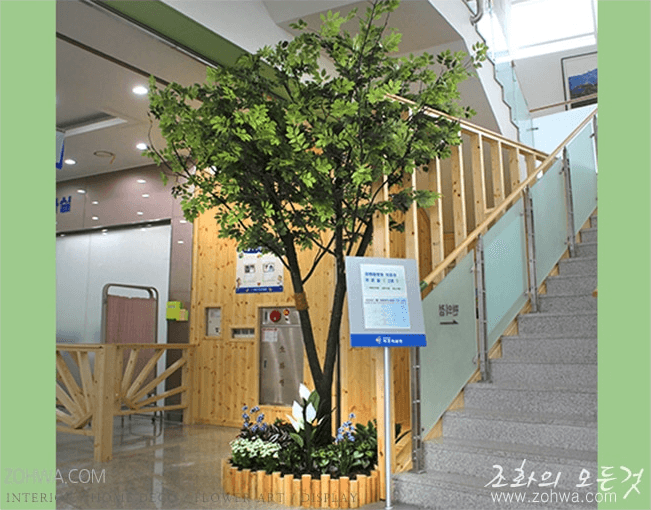 속초병원 — 편안한 대기 분위기의 느티나무