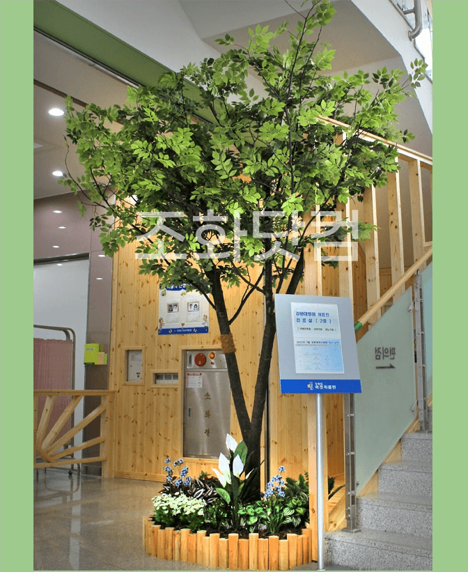 속초병원 — 숲 같은 편안한 느티나무 공간