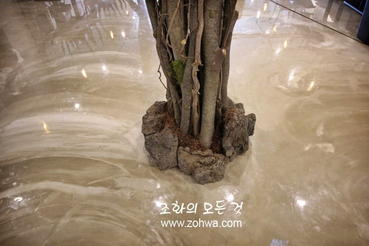 시흥 스테이크레이브 정왕점 — 화산석 화단이 감싼 밑동