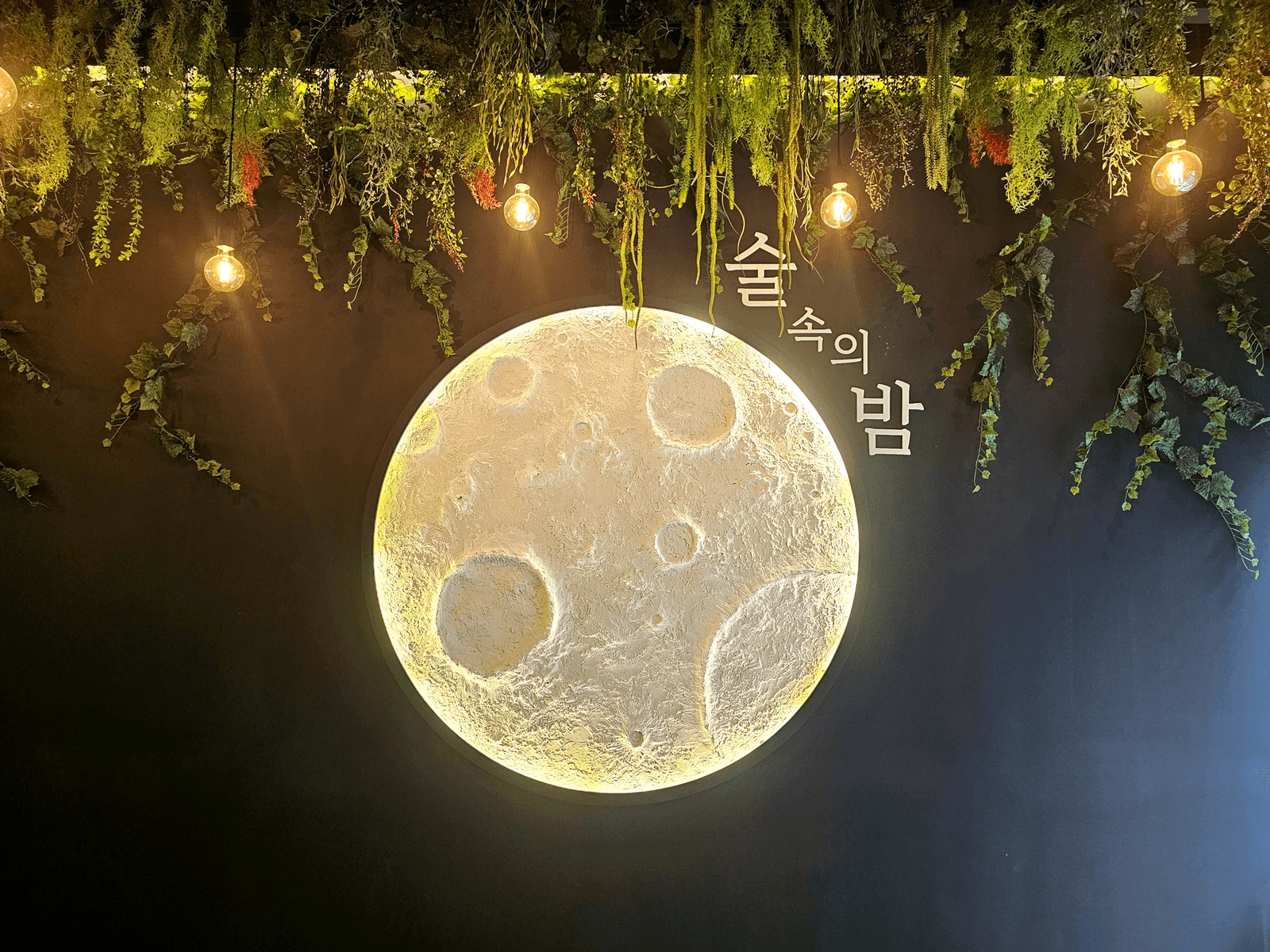 서울 발산역 술밤 발산역점 — 조명과 넝쿨이 한 그림이 된 벽면