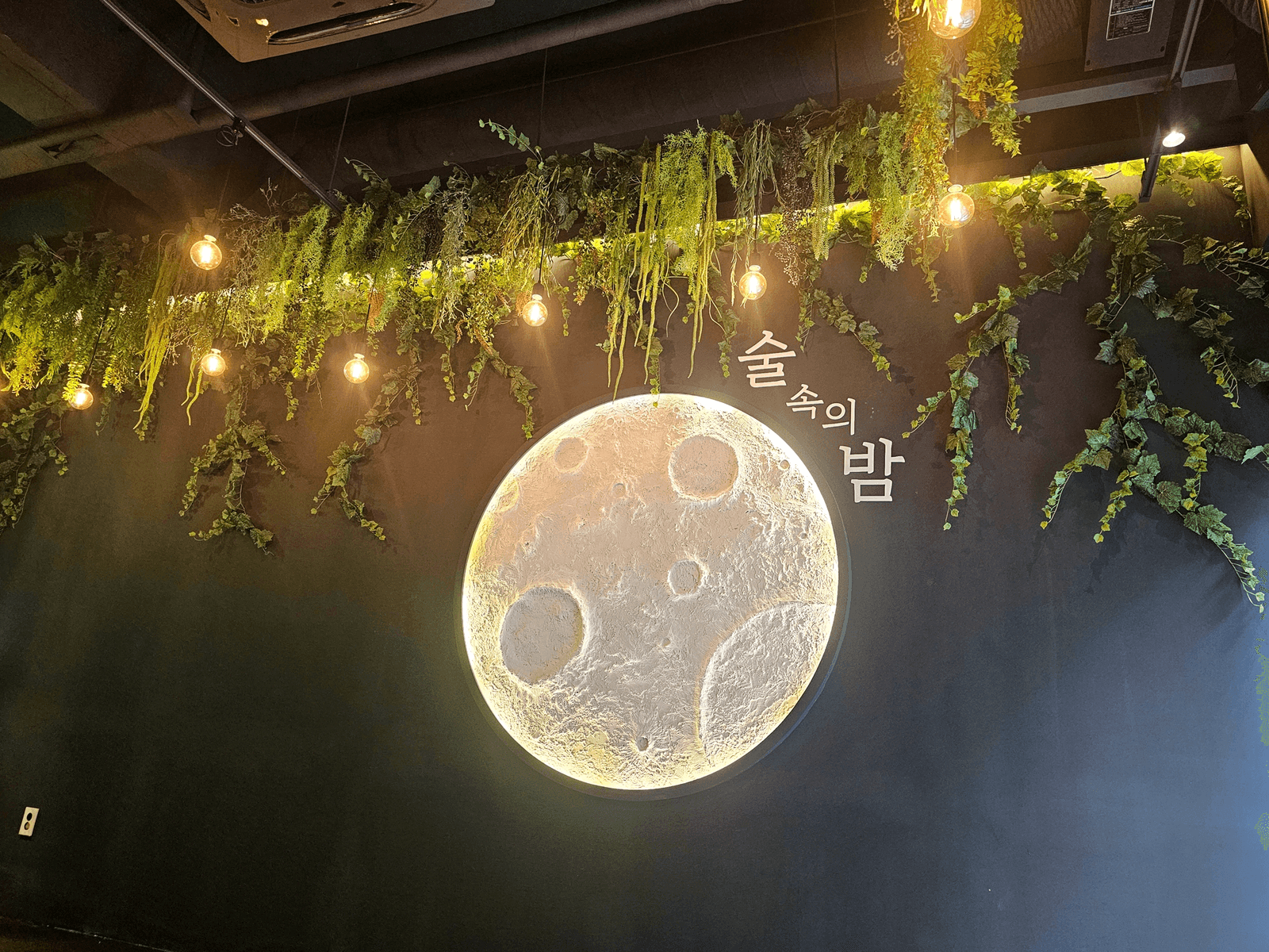 서울 발산역 술밤 발산역점 — 레터링과 넝쿨이 한 프레임에 담긴 벽