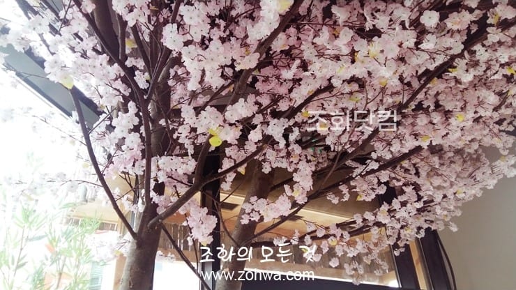 충북 진천 스시이찌방 — 매장 안에 만개한 인조 벚꽃