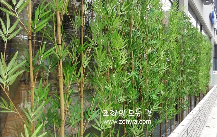 충북 진천 스시이찌방 — 가까이 본 인조 대나무