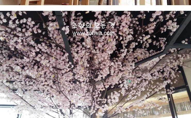 충북 진천 스시이찌방 — 천장으로 펼친 벚꽃 가지