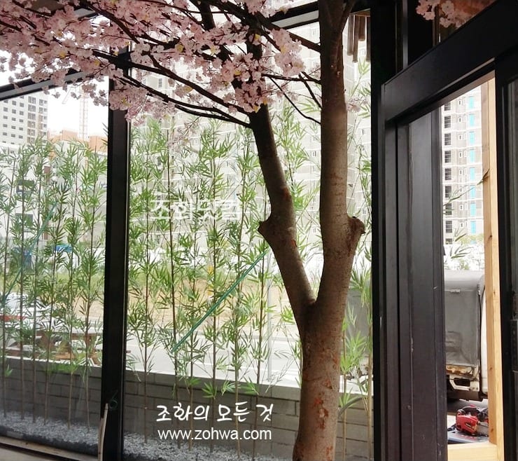 충북 진천 스시이찌방 — 창가에 세운 벚꽃나무
