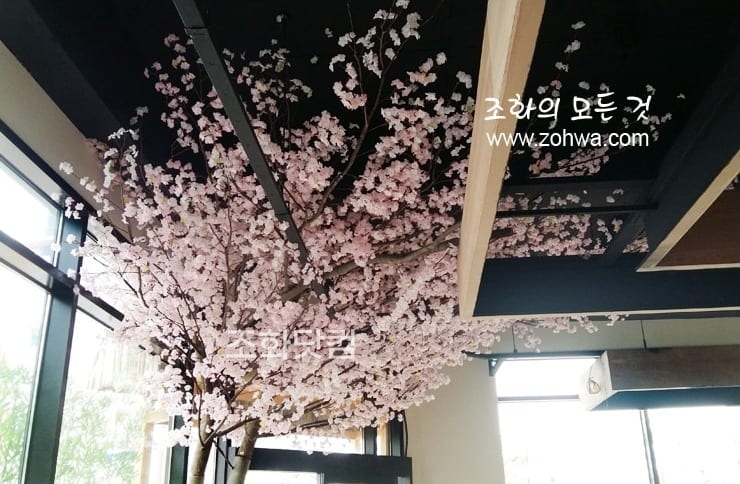 충북 진천 스시이찌방 — 천장으로 펼친 벚꽃