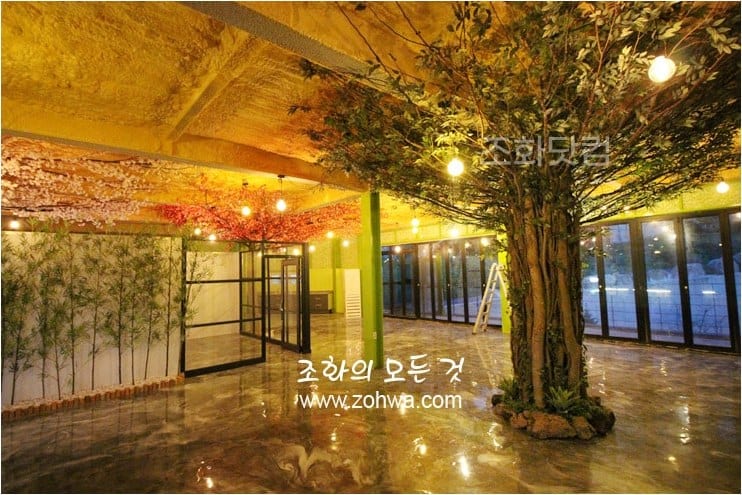 포천 타로카페 — 조명 켜진 밤 나무숲