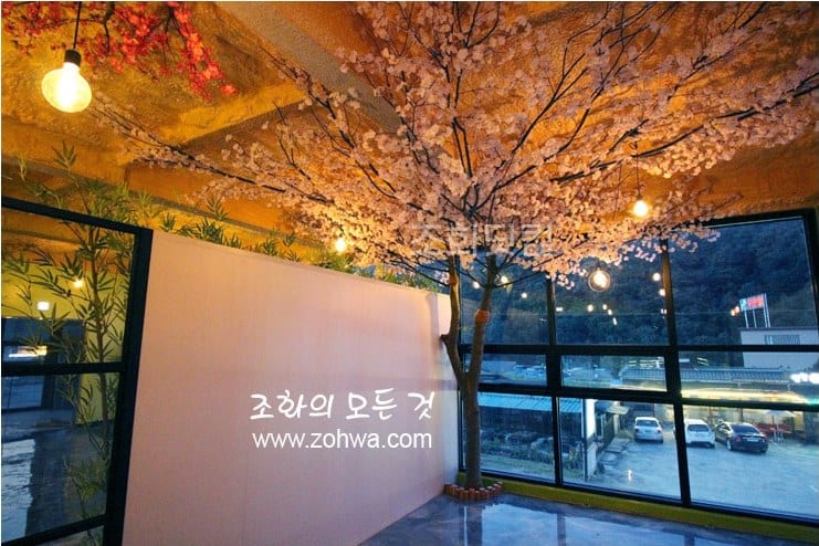 포천 타로카페 — 저녁 조명 아래 나무숲