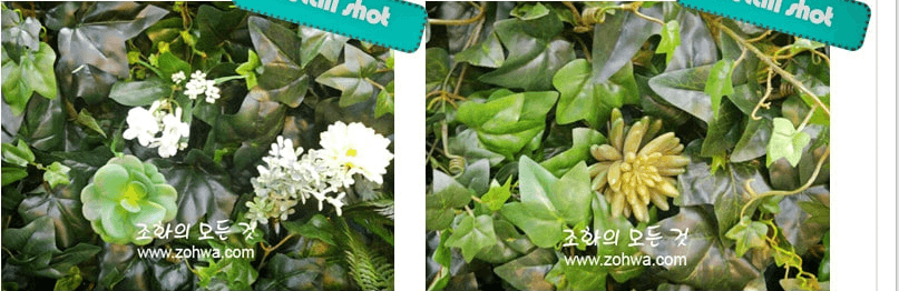 익산 타임 스튜디오 — 흰 꽃과 아이비 넝쿨을 섞은 배경