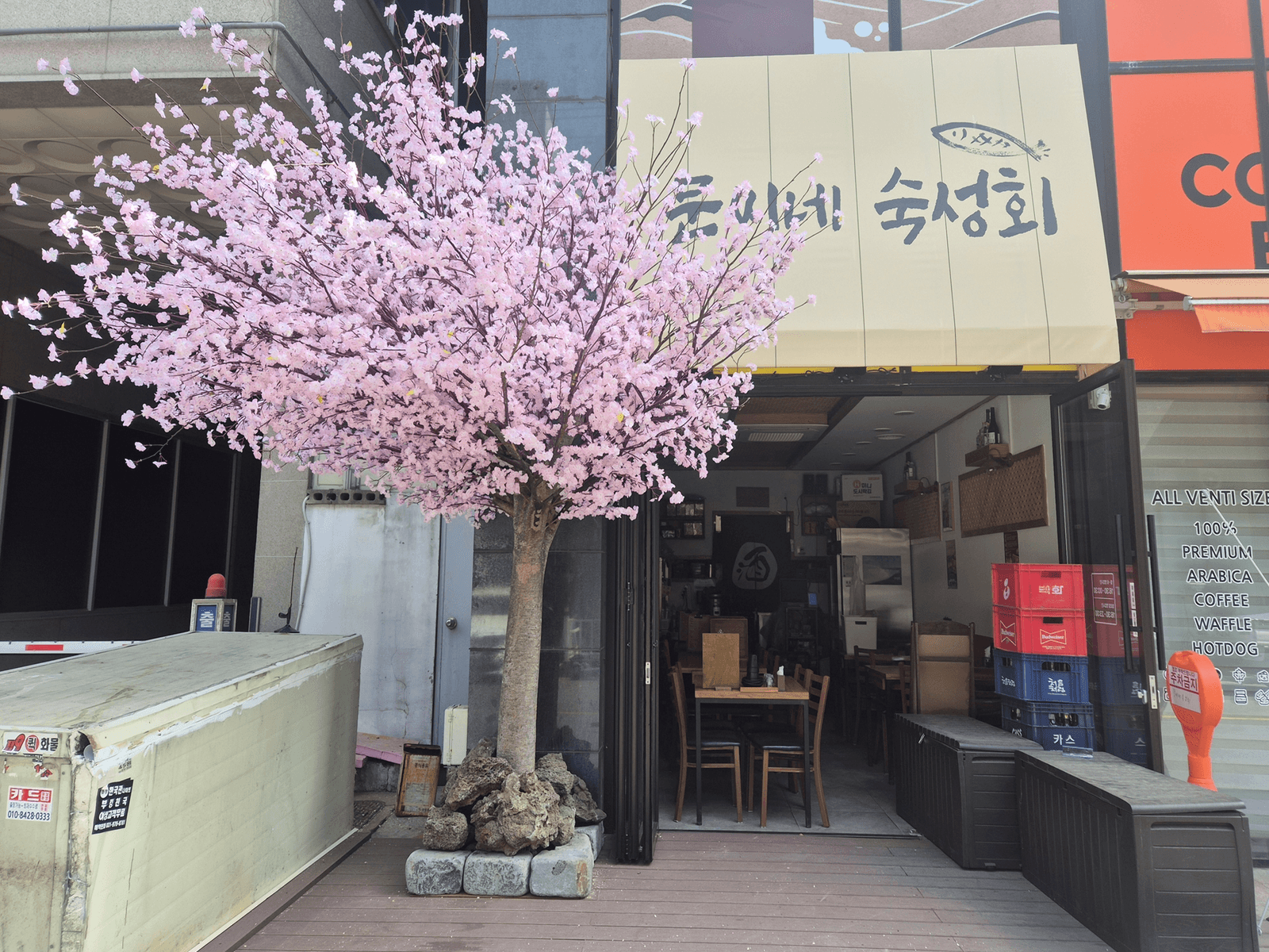 고양시 행신동 문씨네 숙성회 — 매장 옆 경계에 선 벚꽃나무가 옆 공터로 가던 시선을 끊는 모습