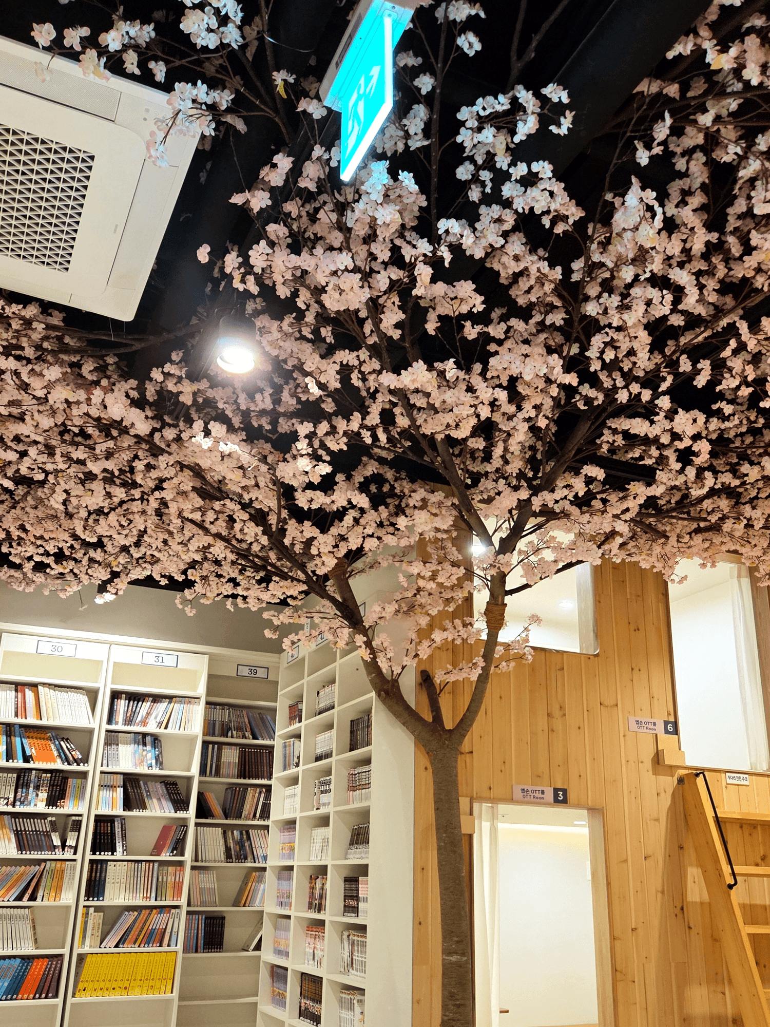 울산 만화카페도도 — 나무 기둥부터 천장까지 이어진 벚꽃