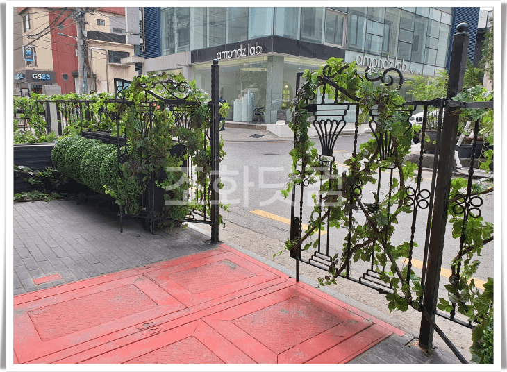 압구정 위글위글 카페 야외 테라스 철제 게이트와 넝쿨로 이어진 입구