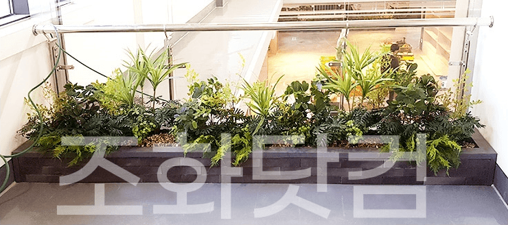 원주복합문화교육센터 — 창가에 길게 놓인 화단 플랜트박스