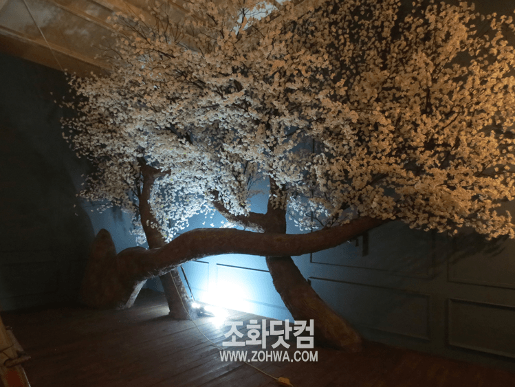 청주 스튜디오 원규 — 천장까지 이어진 벚꽃 수관