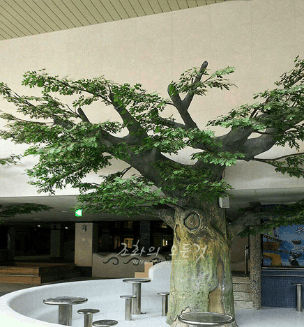 부천 웅진플레이도시 천장 높이에 맞춘 특대형 느릅나무