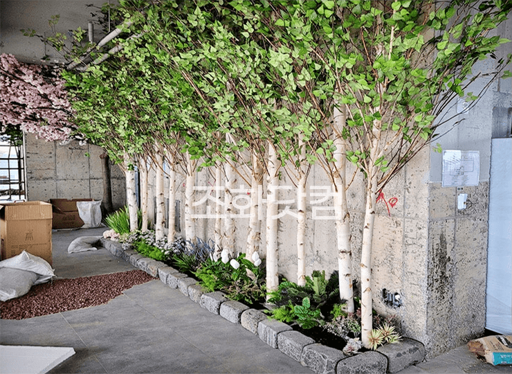 제주 우리동네포차 — 자작나무와 야생초 화단