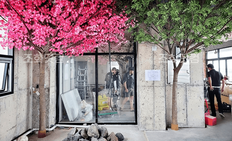 제주 우리동네포차 — 입구를 밝히는 인조 벚꽃나무