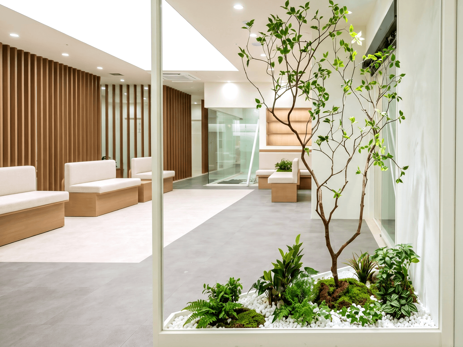 인천 약선당 부부한의원 — 플랜트박스가 벤치 사이를 채운 대기실