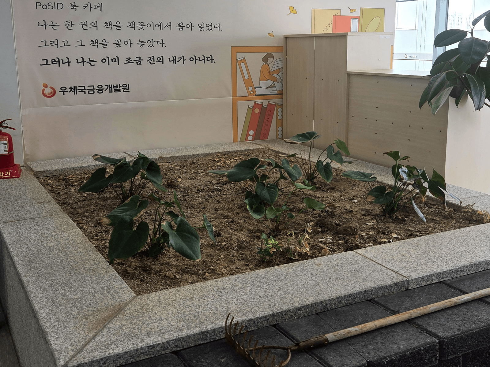 시공 전 시든 생화가 남아 있던 서울영등포우체국 화단