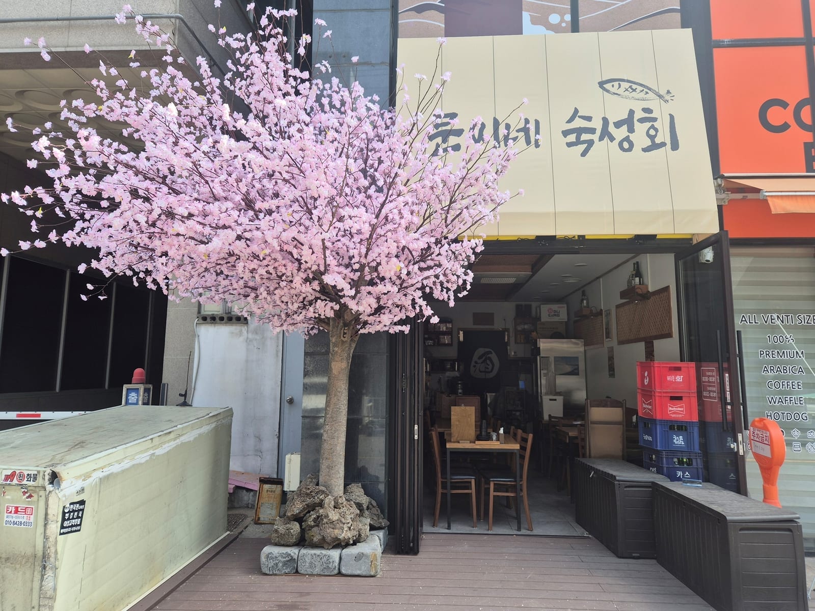 고양시 행신동 문씨네 숙성회 — 식당 입구에 시공한 대형 인조 벚꽃나무, 분홍 벚꽃이 만개한 가지가 풍성하게 펼쳐지고 아래는 자연석으로 마감한 모습