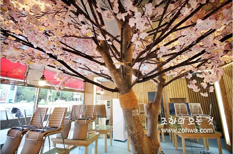 용인 윤송회수산 — 벚꽃나무 아래에서 올려다본 가지