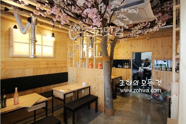 용인 육선생 — 테이블 위로 드리운 벚꽃 배경