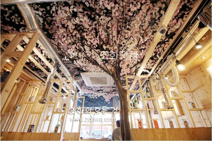 용인 육선생 — 창가로 이어지는 벚꽃 매장
