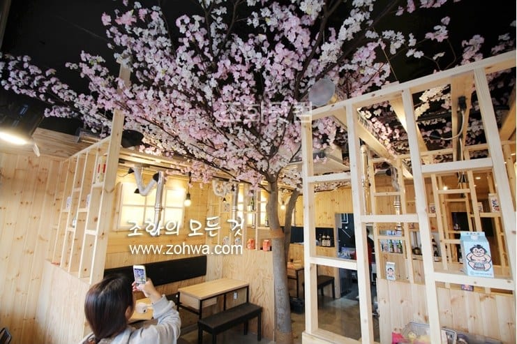 용인 육선생 — 벚꽃 아래 안쪽 자리